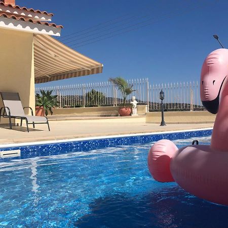 Peyia Palm Villa Paphos Bagian luar foto
