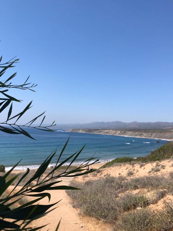 Peyia Palm Villa Paphos Bagian luar foto