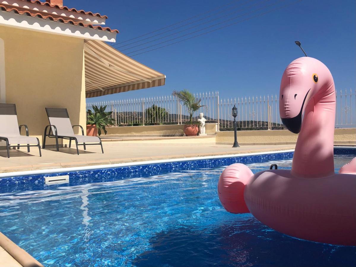 Peyia Palm Villa Paphos Bagian luar foto